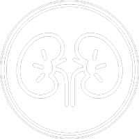 Urologia